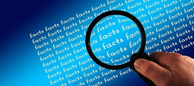 Thought-Provoking Facts About Germany